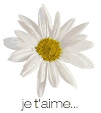 trop mimi